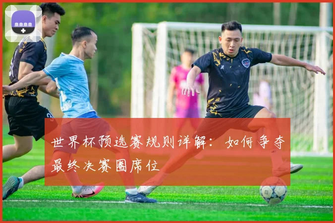世界杯预选赛规则详解：如何争夺最终决赛圈席位