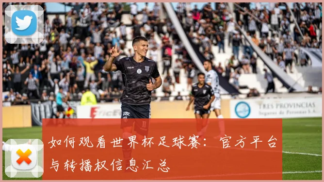 如何观看世界杯足球赛:官方平台与转播权信息汇总