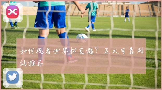 如何观看世界杯直播?五大可靠网站推荐