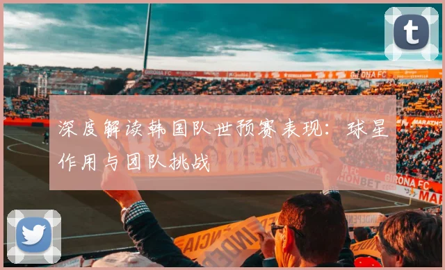 深度解读韩国队世预赛表现：球星作用与团队挑战