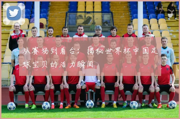 从赛场到看台:揭秘世界杯中国足球宝贝的活力瞬间