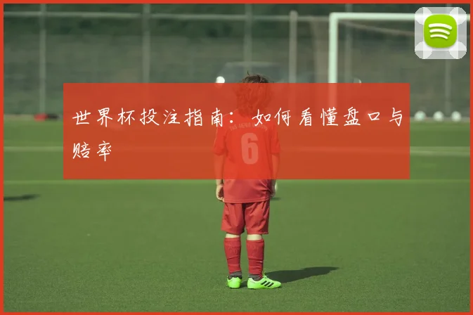 世界杯投注指南:如何看懂盘口与赔率