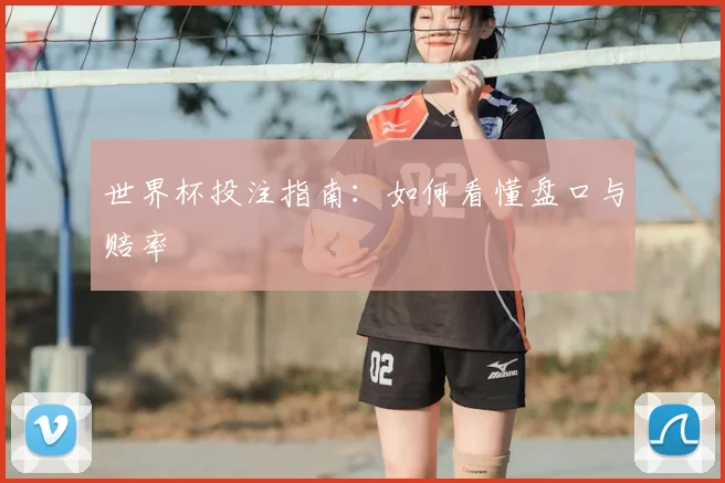 世界杯投注指南:如何看懂盘口与赔率
