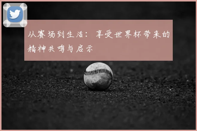 从赛场到生活:享受世界杯带来的精神共鸣与启示
