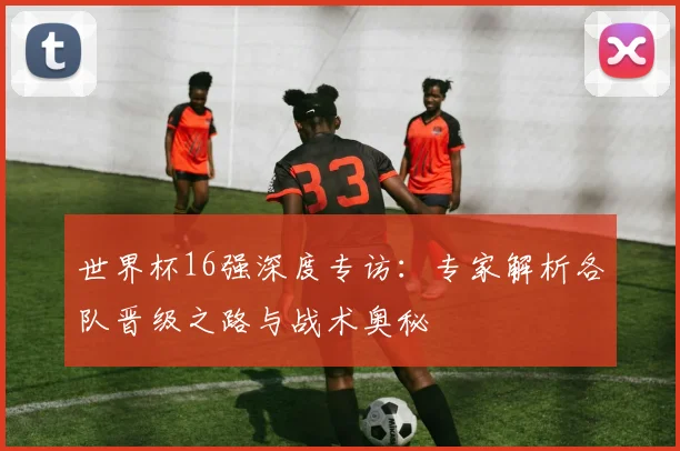 世界杯16强深度专访:专家解析各队晋级之路与战术奥秘