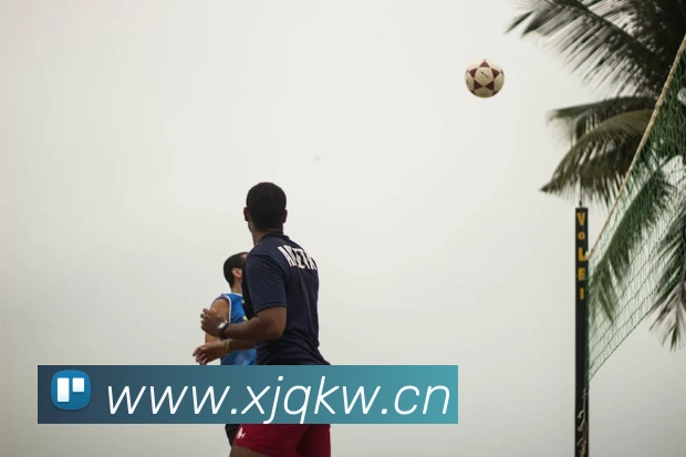 星空最新官方网址平台生态图